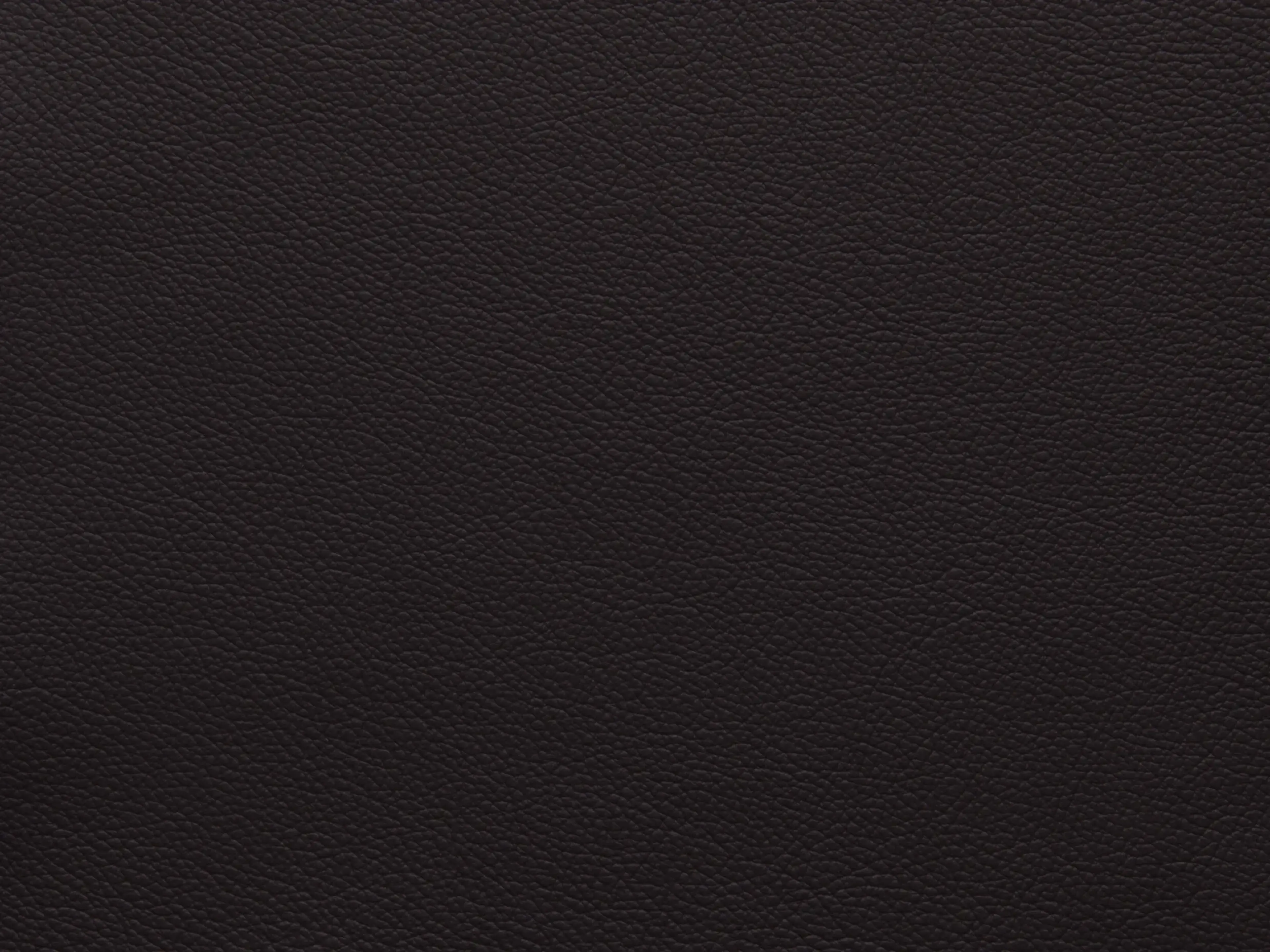 EssentialBrunetteFF84_2187.webp