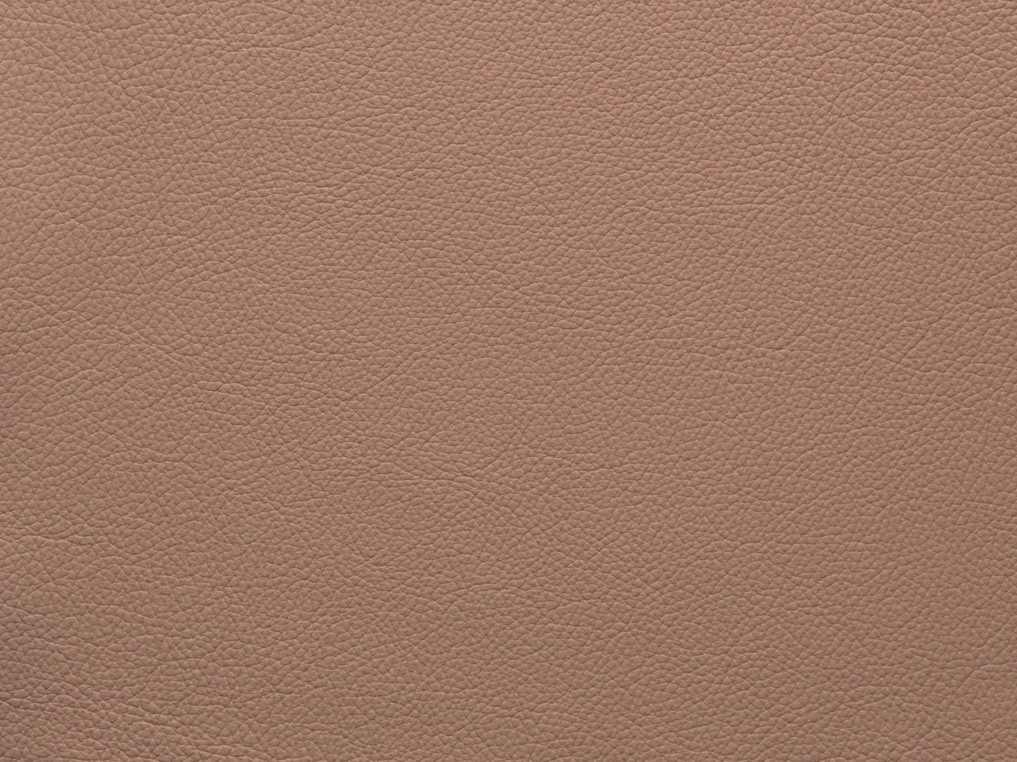 EssentialBrushFF86_2177.webp
