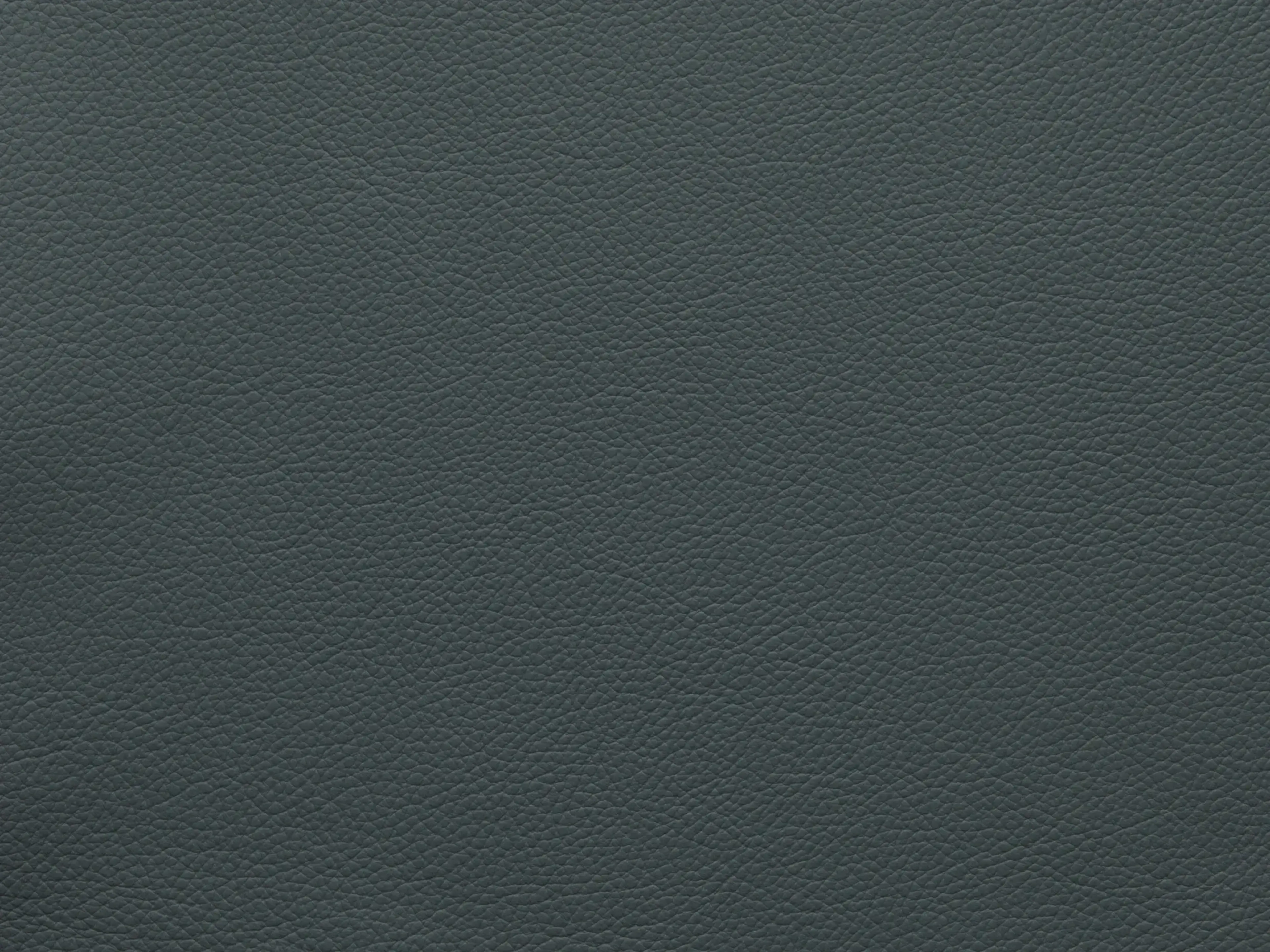 EssentialGoblinBlueFF83_2179.webp