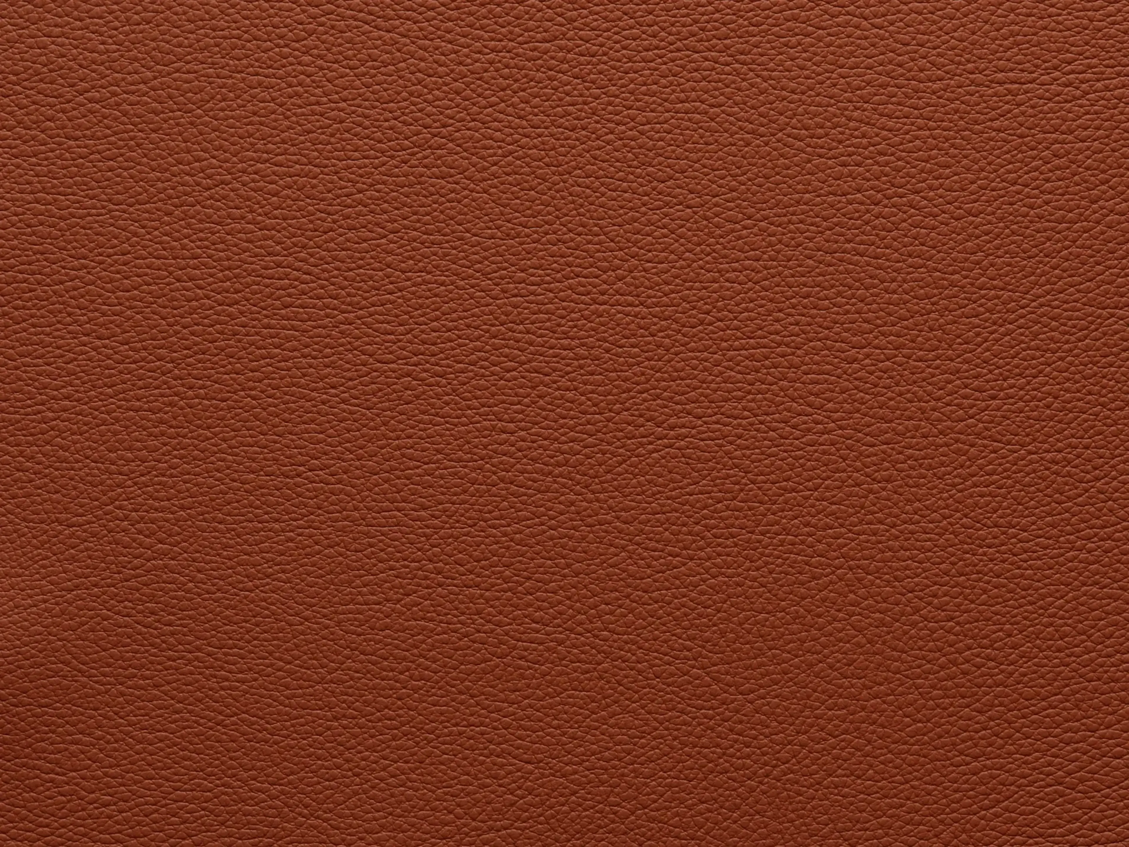 EssentialIndiaFF85_2183.webp