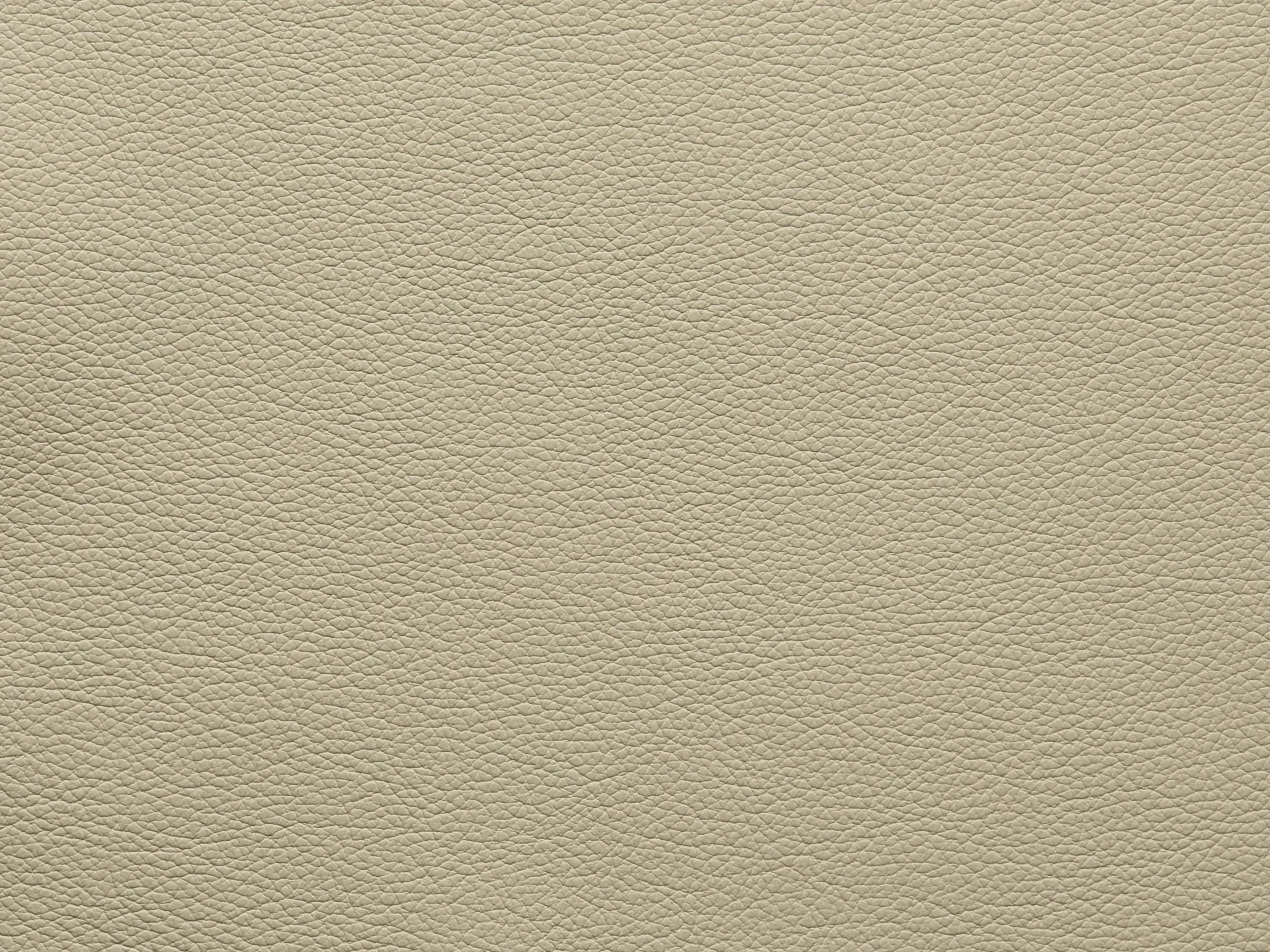EssentialSandshellFF87_2175.webp