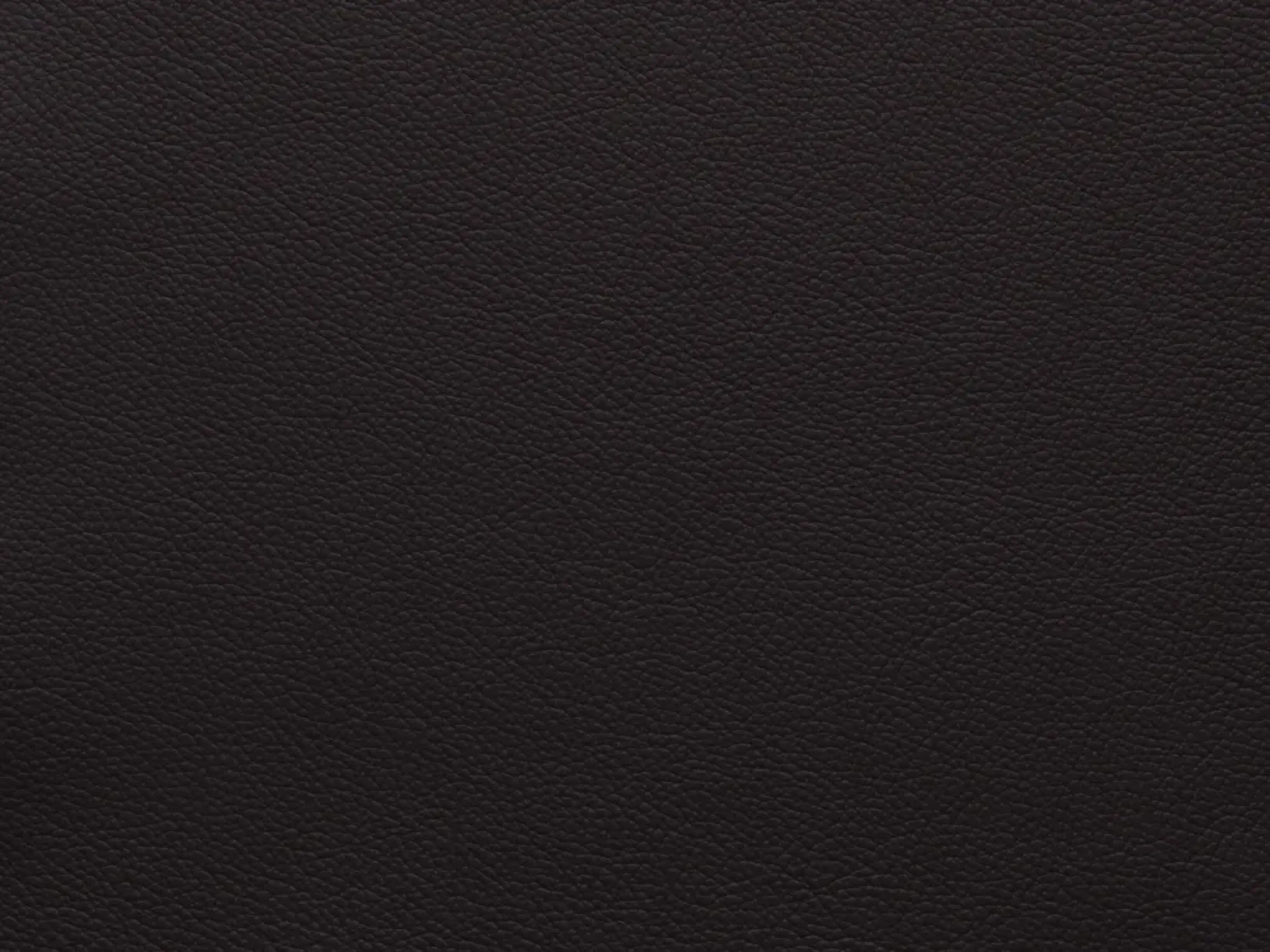 EssentialBrunetteFF84_2187.webp