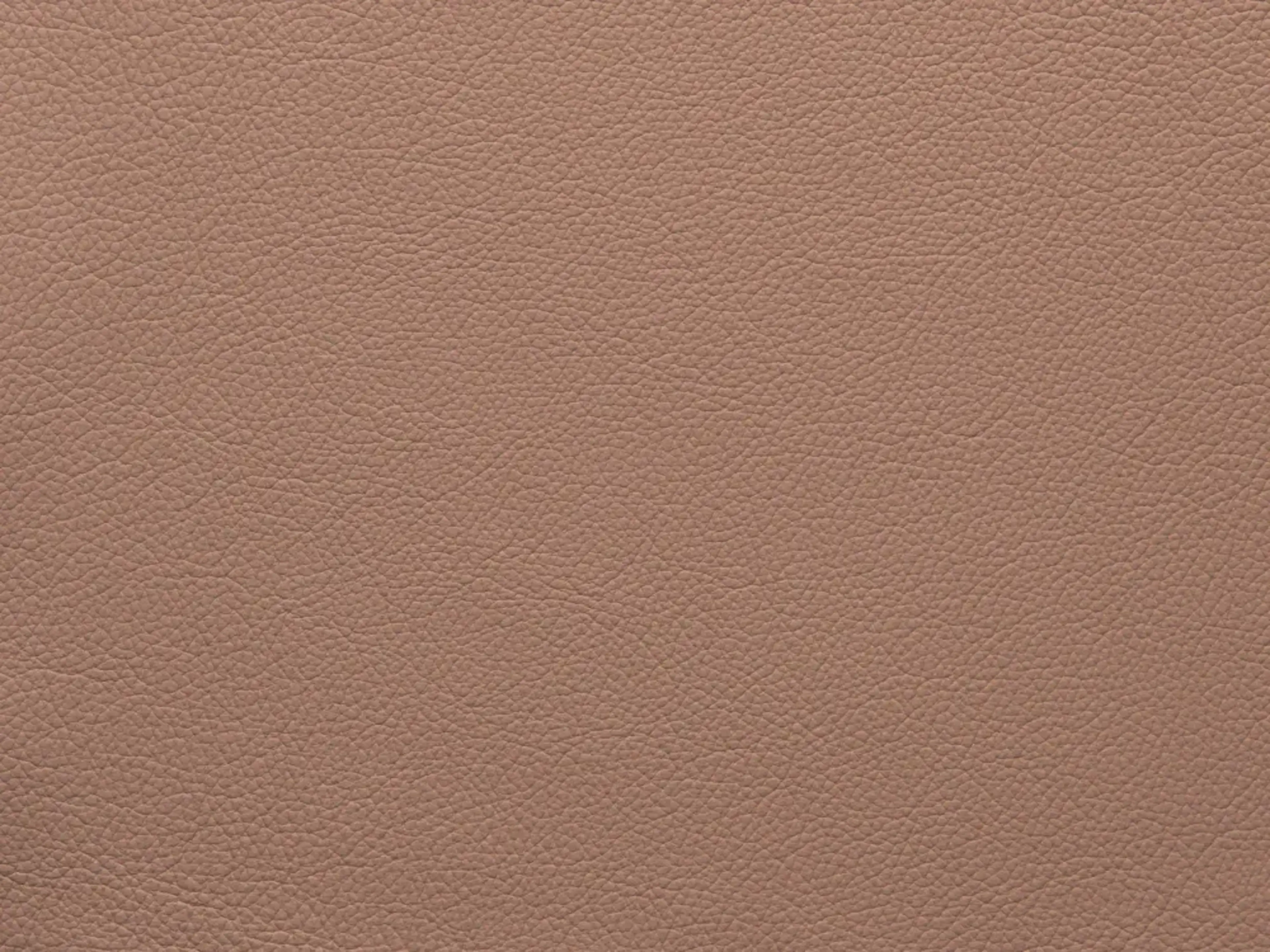 EssentialBrushFF86_2177.webp