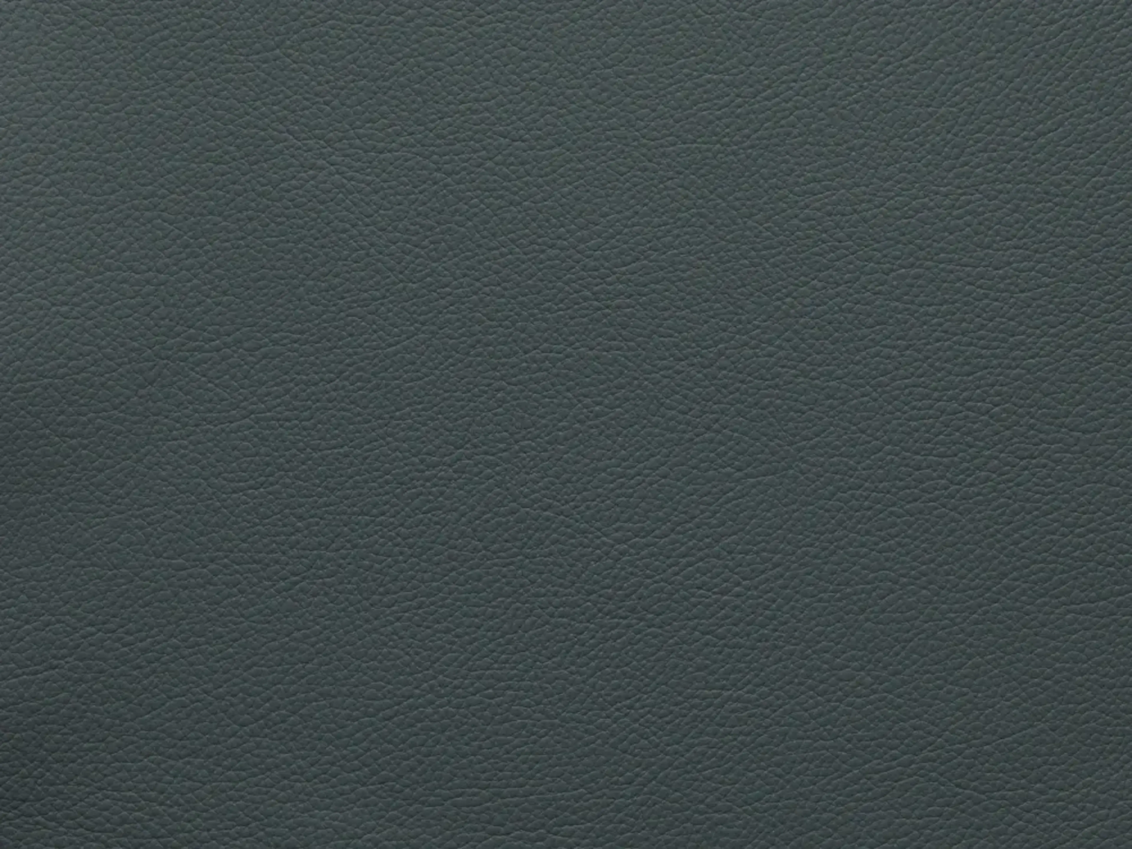 EssentialGoblinBlueFF83_2179.webp