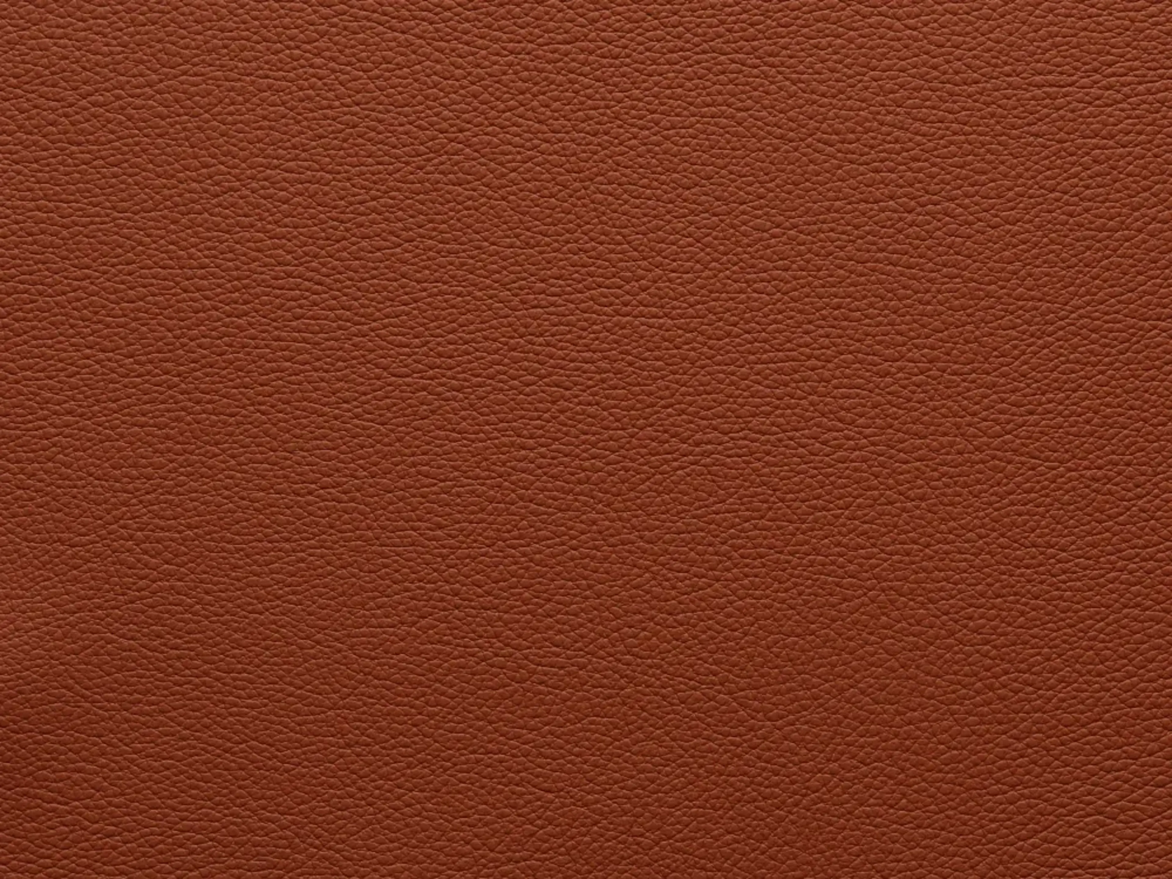 EssentialIndiaFF85_2183.webp