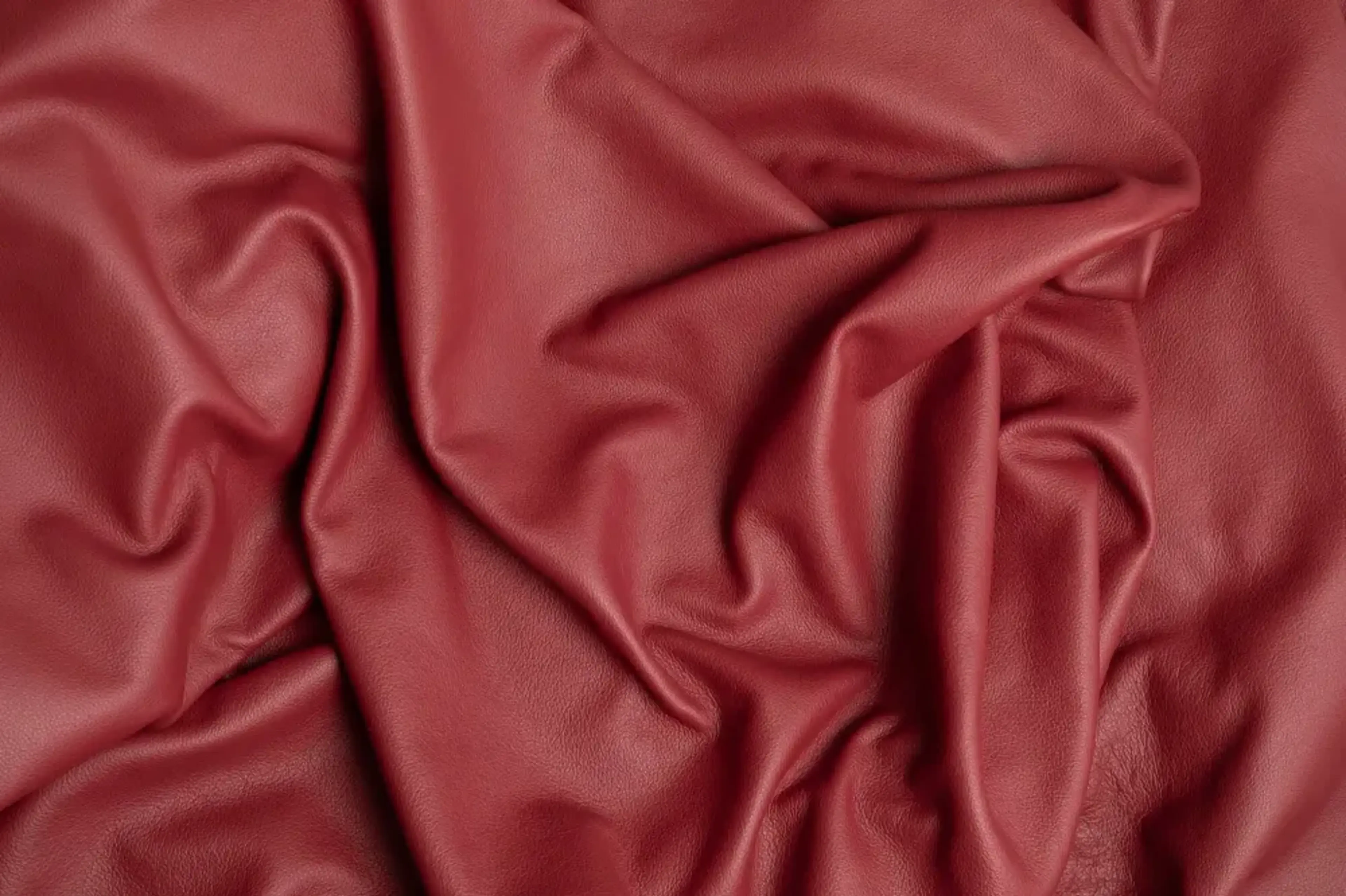 fiore-product-essential-bone